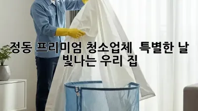 정동 프리미엄 청소업체 ✨ 특별한 날, 빛나는 우리 집!