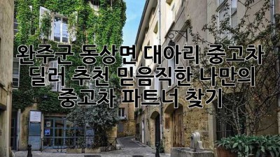 완주군 동상면 대아리 중고차 딜러 추천: 믿음직한 나만의 중고차 파트너 찾기